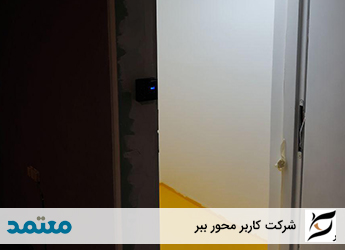 کاربر محور ببر