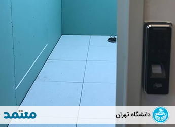 دانشگاه تهران